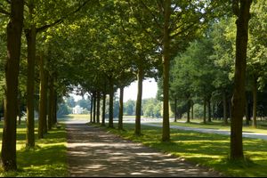 Veranstaltungen vom 13.4. bis 19.4.2026